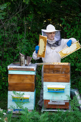 Closeup portrait of beekeeper holding a honeycomb full of bees. Beekeeper in protective workwear inspecting honeycomb frame at apiary. Beekeeping concept. Beekeeper harvesting honey