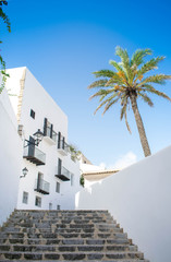 Low angle view of palm tree and white building against blue sky at the old town of Ibiza, Spain. Travel, mediterranean and vacation concept.