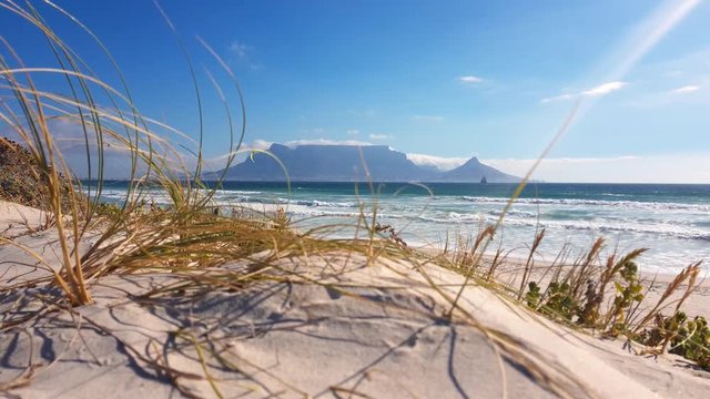Low angle view through sandy beach grass to Table mountain para surfers in distance on Bloubergstrand beach.