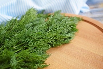 Fresh fragrant dill on a wooden Board.Food ingredient.