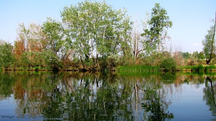 Obraz premium Walk on the lake