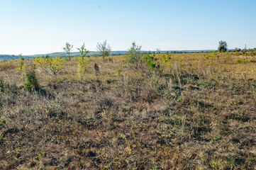 Ukraine. Summer landscape steppe, ecology scene. Erosion of natural landscape. Luhansk region