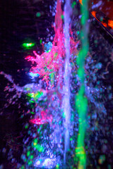 Fototapeta na wymiar splashes of a colored fountain in the dark