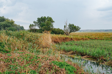 Ukraine. Summer landscape steppe, ecology scene. Erosion of natural landscape. Luhansk region