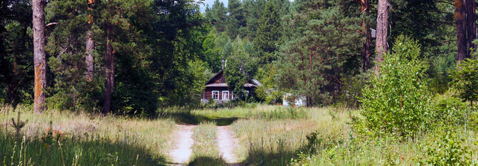 old little house in the forest in summer in the sunlight