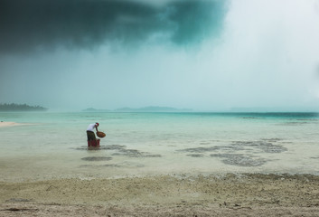 giving food to sharks in the midle of a storm