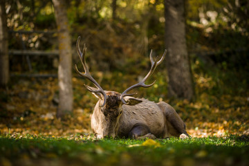 parco nazionale d'abruzzo