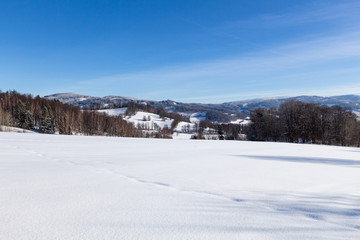 Fototapeta na wymiar Winter wonderland background. Frosty sunny day in mountain spruce forest. Snowy trees and blue sky