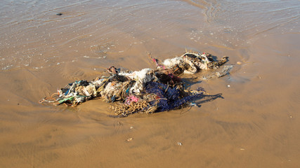 Plastic Polution showing discarded plastics and fishing nets and latex rubber on East Atlantic Beaches, Morocco , Africa, Sky save our oceans