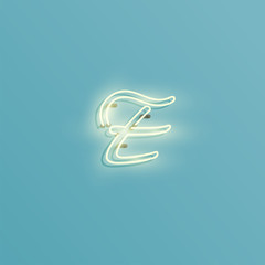 Realistic neon character from a typeset, vector
