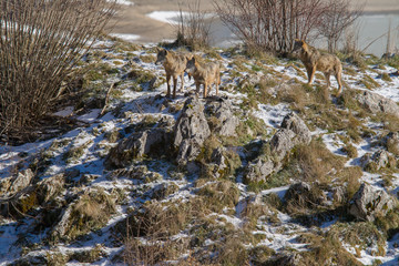parco nazionale d'abruzzo