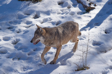 parco nazionale d'abruzzo