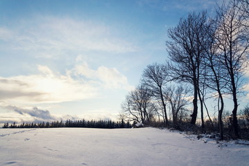 Sun beams passing through trees in beautiful snowy sunny winter landscape, freezing weather forecast concept