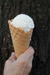 Coconut Ice Cream Cione