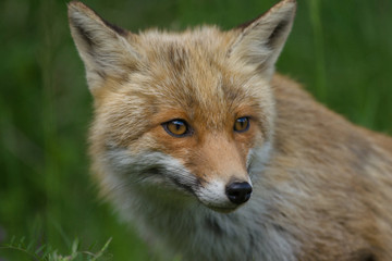 parco nazionale d'abruzzo