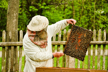 Rural man caring for bees. beekeeping.
