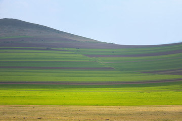 Obraz premium Spring countryside around a farm