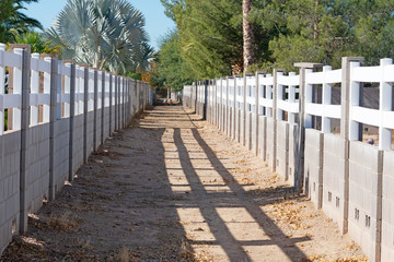 Alley between two fences and trees on both sides