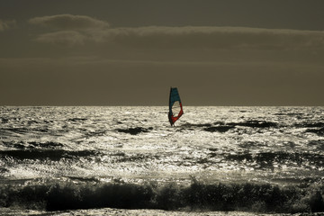 surfer