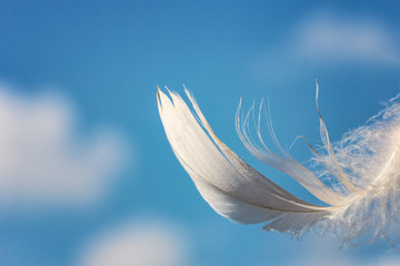 snow-white feather on blue sky background with clouds, lightness concept