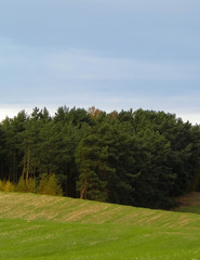 Fototapeta na wymiar Green field and hills. Nature of northern Poland.