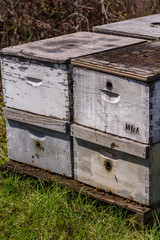 Beehives at the farm in late winter
