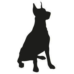 Black silhouette of a dog on a white background. Dobermann. Vector illustration.