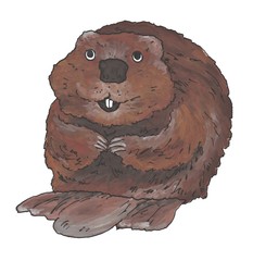 Friendly cute, funny beaver