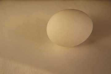 white egg on white background. isolated close-up cutout