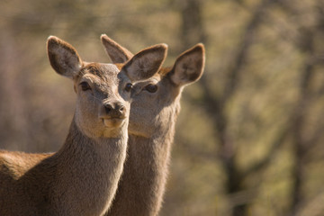 parco monte amiata