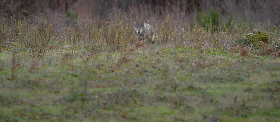 parco monte amiata