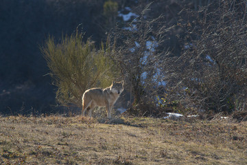 parco monte amiata