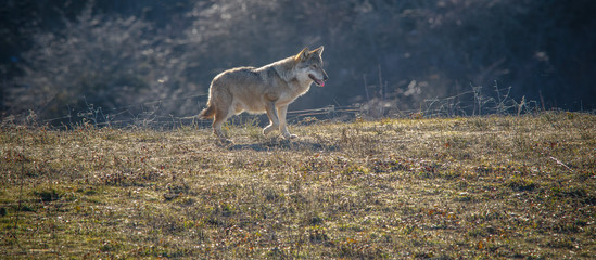 parco monte amiata