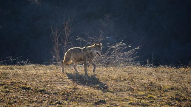 parco monte amiata