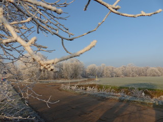 feld winter