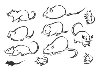 ネズミ