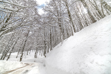 parco nazionale d'abruzzo