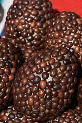 coffee beans on an egg,art design