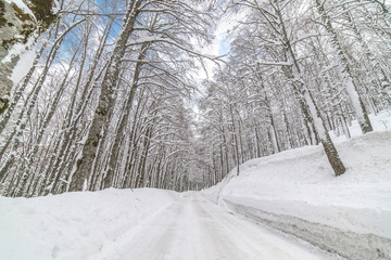 parco nazionale d'abruzzo