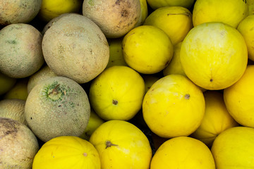 Two types of melon, yellow and orange in color