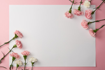 beautiful pink and white carnation flowers and blank card on pink background