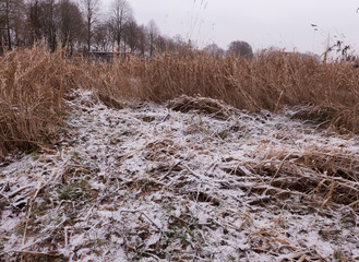 Winterlandschaft in einer Flussniederung. Trockenes Gras ist von etwas Schnee und Rauhreif bedeckt.