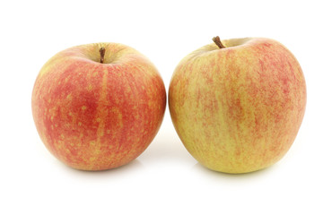 fresh Dutch cooking apples on a white background