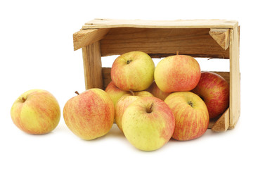 Naklejka na ściany i meble fresh cooking apples in a wooden crate on a white background