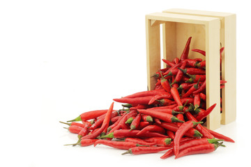 red rawit peppers  (Capsicum annuum 'Bird's Eye') in a wooden box on a white background