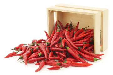 red rawit peppers  (Capsicum annuum 'Bird's Eye') in a wooden box on a white background