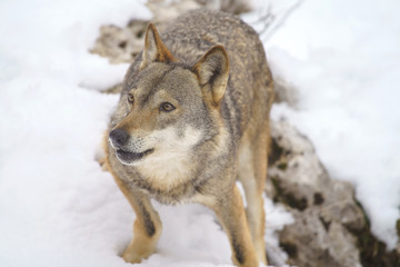 parco nazionale d'abruzzo