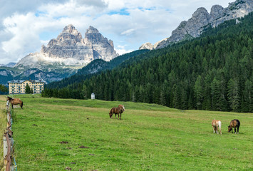 Fototapeta na wymiar Auronzo mountain Dolomites with horses