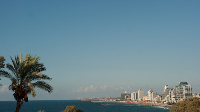 Waterfront views of Tel Aviv with a palm