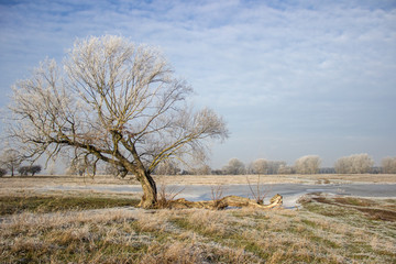 frosty winter landscape on a river